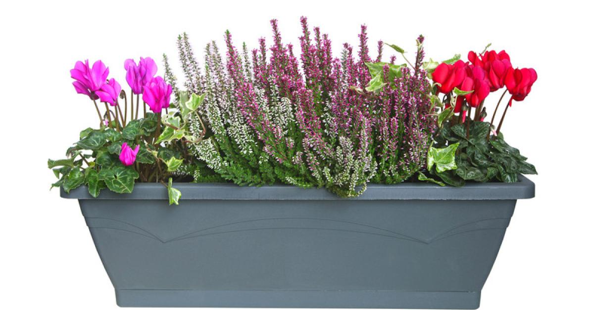 Arrosage des fleurs du village Appel à bonnes volontés