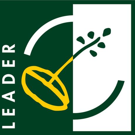 logo LEADER