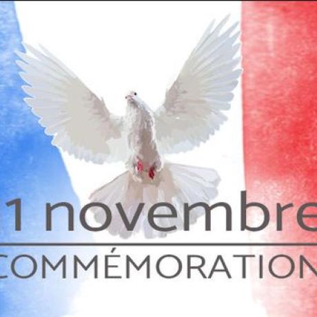 11 novembre
