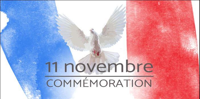 11 novembre