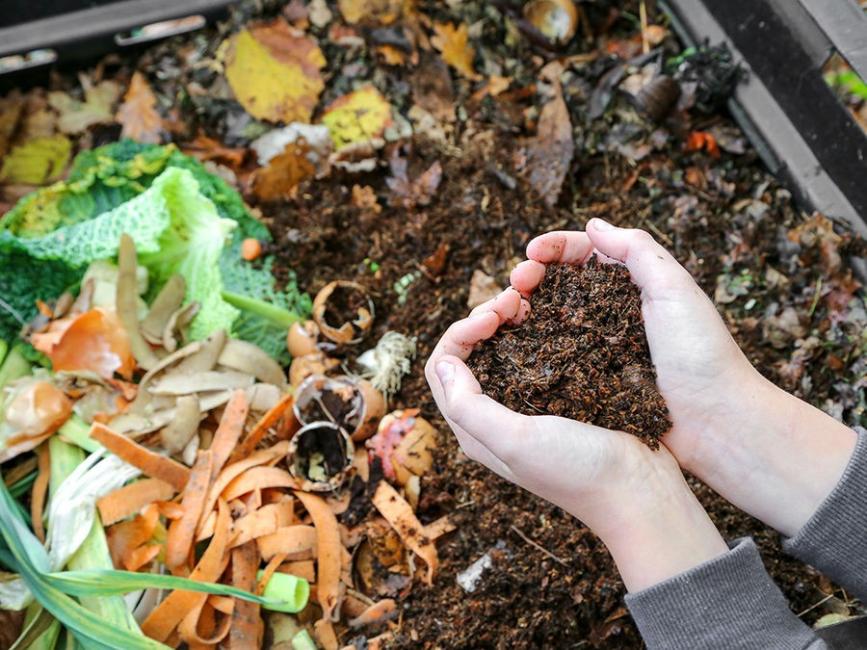Le compost est prêt